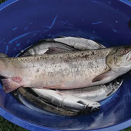 Beautiful In Eikesdal Holiday home Overas